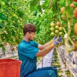 werken buitenland reisverzekering