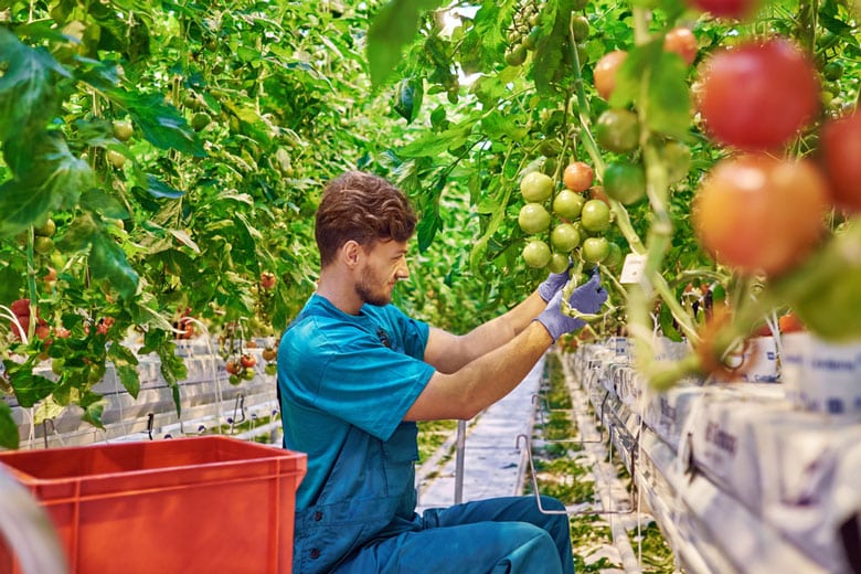 werken buitenland reisverzekering